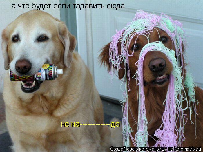 а что будет если тадавить сюда не на------------до... Котоматрица: а что будет если тадавить сюда не на------------до