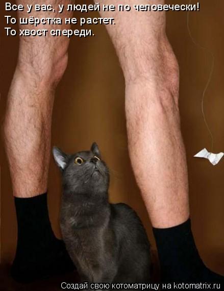 Все у вас, у людей не по человечески! То шёрстка не растет. То хвост спереди.... Котоматрица: Все у вас, у людей не по человечески! То шёрстка не растет. То хвост спереди.