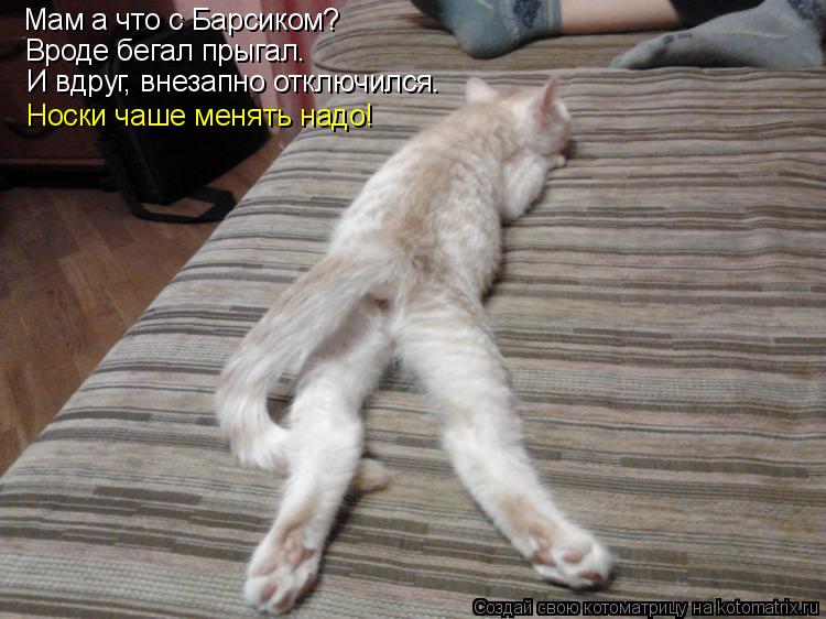 Мам а что с Барсиком? Вроде бегал прыгал. И вдруг, внезапно отключился. Носки чаше менять надо!... Котоматрица: Мам а что с Барсиком? Вроде бегал прыгал. И вдруг, внезапно отключился. Носки чаше менять надо!
