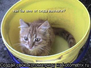 как бы мне от сюда вылезти?... Котоматрица: как бы мне от сюда вылезти?