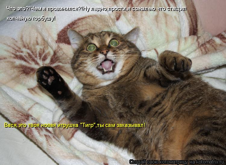 Что это?!Чем я провинился?!Ну ладно,прости,я сожалею что стащил копчёную горбушу! Вася,это твоя новая... Котоматрица: Что это?!Чем я провинился?!Ну ладно,прости,я сожалею что стащил копчёную горбушу! Вася,это твоя новая игрушка "Тигр",ты сам заказывал!