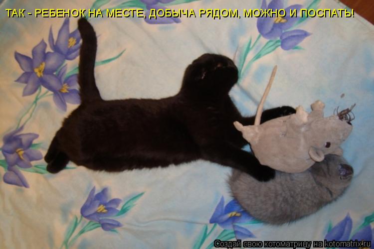 ТАК - РЕБЕНОК НА МЕСТЕ, ДОБЫЧА РЯДОМ, МОЖНО И ПОСПАТЬ!... Котоматрица: ТАК - РЕБЕНОК НА МЕСТЕ, ДОБЫЧА РЯДОМ, МОЖНО И ПОСПАТЬ!