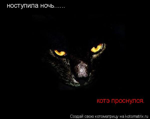 ноступила ночь...... котэ проснулся.... Котоматрица: ноступила ночь...... котэ проснулся.