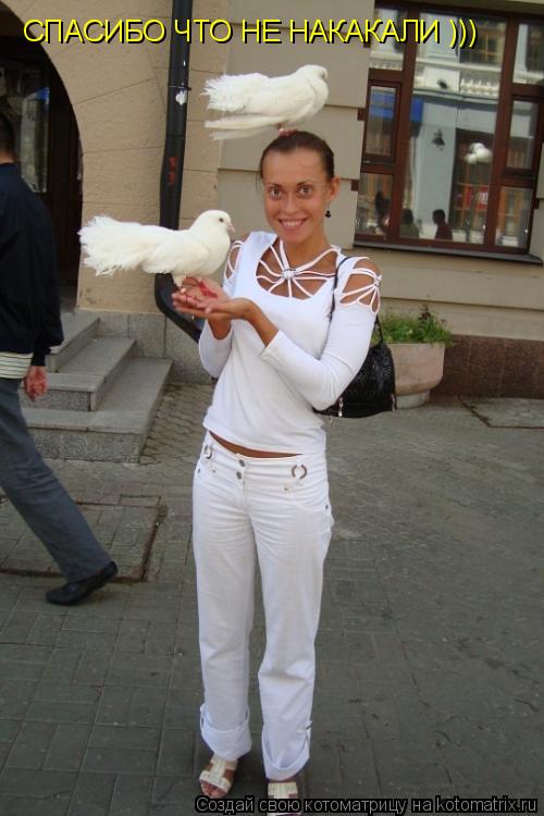 СПАСИБО ЧТО НЕ НАКАКАЛИ )))... Котоматрица: СПАСИБО ЧТО НЕ НАКАКАЛИ )))