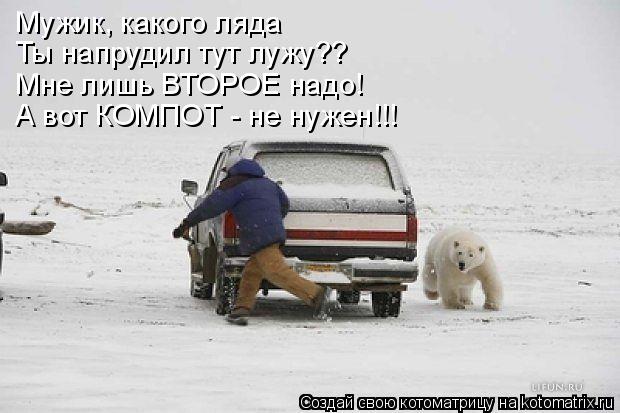 Мужик, какого ляда Ты напрудил тут лужу?? Мне лишь ВТОРОЕ надо! А вот КОМПОТ - не нужен!!!... Котоматрица: Мужик, какого ляда Ты напрудил тут лужу?? Мне лишь ВТОРОЕ надо! А вот КОМПОТ - не нужен!!!
