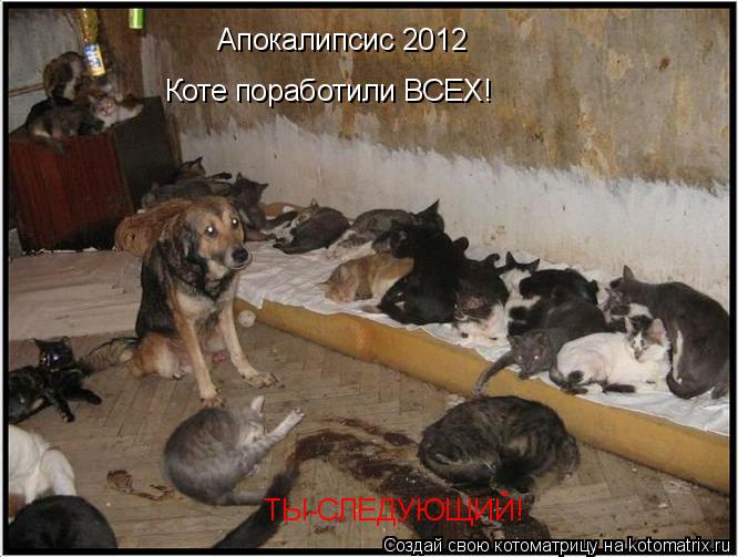 Апокалипсис 2012 Коте поработили ВСЕХ! ТЫ-СЛЕДУЮЩИЙ!... Котоматрица: Апокалипсис 2012 Коте поработили ВСЕХ! ТЫ-СЛЕДУЮЩИЙ!