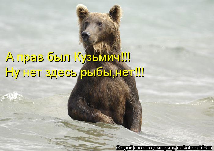 А прав был Кузьмич!!! Ну нет здесь рыбы,нет!!!... Котоматрица: А прав был Кузьмич!!! Ну нет здесь рыбы,нет!!!