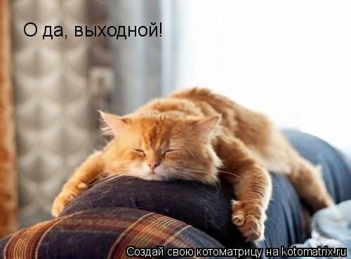 О да, выходной!... Котоматрица: О да, выходной!