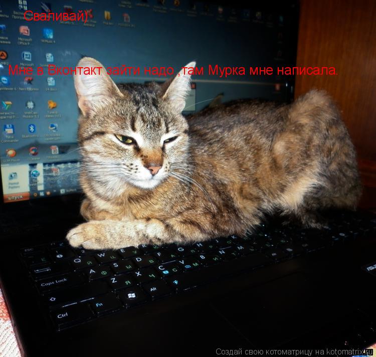 Сваливай) Сваливай) Мне в Вконтакт зайти надо ,там Мурка мне написала.... Котоматрица: Сваливай) Сваливай) Мне в Вконтакт зайти надо ,там Мурка мне написала.
