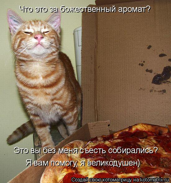 Что это за божественный аромат? Это вы без меня съесть собирались? Я вам помогу, я великодушен)... Котоматрица: Что это за божественный аромат? Это вы без меня съесть собирались? Я вам помогу, я великодушен)