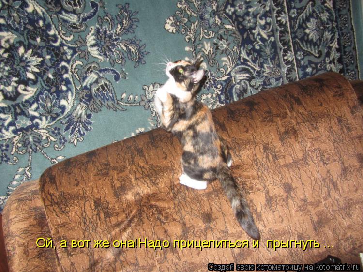 Ой, а вот же она!Надо прицелиться и прыгнуть ...... Котоматрица: Ой, а вот же она!Надо прицелиться и прыгнуть ...