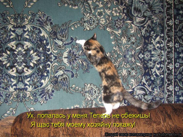 Ух, попалась у меня.Теперь не сбежишь! Ух, попалась у меня.Теперь не сбежишь! Я щас тебя моему хозяйн... Котоматрица: Ух, попалась у меня.Теперь не сбежишь! Ух, попалась у меня.Теперь не сбежишь! Я щас тебя моему хозяйну покажу!