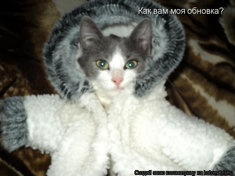 Как вам моя обновка?... Котоматрица: Как вам моя обновка?