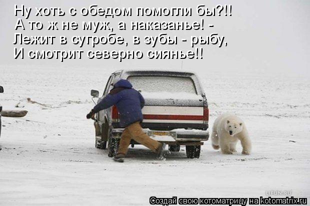 Ну хоть с обедом помогли бы?!! А то ж не муж, а наказанье! - Лежит в сугробе, в зубы - рыбу, И смотр... Котоматрица: Ну хоть с обедом помогли бы?!! А то ж не муж, а наказанье! - Лежит в сугробе, в зубы - рыбу, И смотрит северно сиянье!!