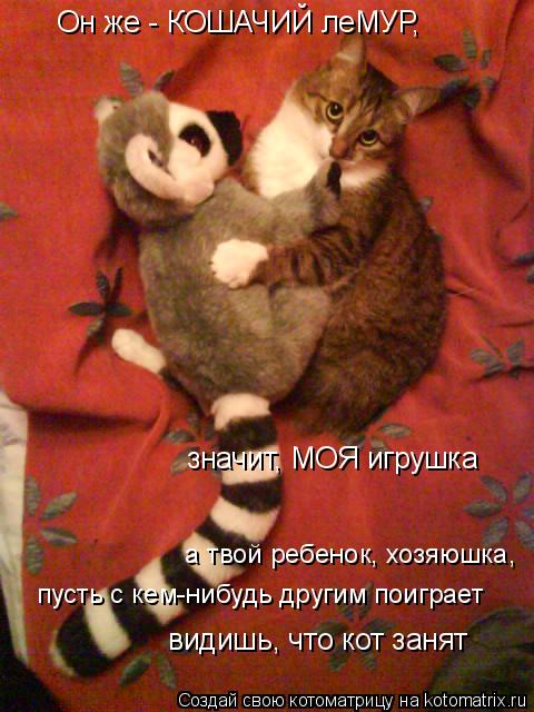 Он же - КОШАЧИЙ леМУР, значит, МОЯ игрушка видишь, что кот занят пусть с кем-нибудь другим поиграет ... Котоматрица: Он же - КОШАЧИЙ леМУР, значит, МОЯ игрушка видишь, что кот занят пусть с кем-нибудь другим поиграет а твой ребенок, хозяюшка,