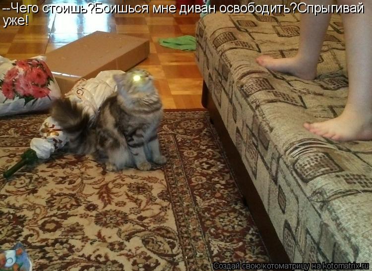 --Чего стоишь?Боишься мне диван освободить?Спрыгивай уже!... Котоматрица: --Чего стоишь?Боишься мне диван освободить?Спрыгивай уже!