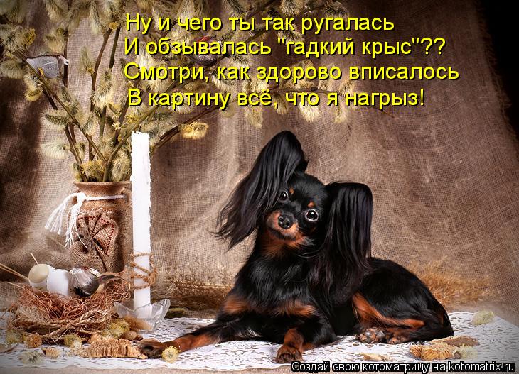 Ну и чего ты так ругалась И обзывалась "гадкий крыс"?? Смотри, как здорово вписалось В картину всё, ч... Котоматрица: Ну и чего ты так ругалась И обзывалась "гадкий крыс"?? Смотри, как здорово вписалось В картину всё, что я нагрыз!