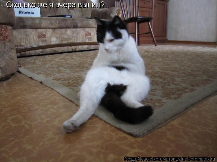 --Сколько же я вчера выпил?..... Котоматрица: --Сколько же я вчера выпил?..