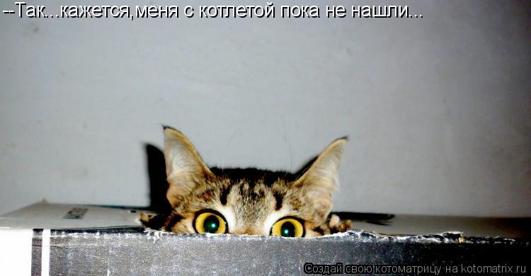 --Так...кажется,меня с котлетой пока не нашли...... Котоматрица: --Так...кажется,меня с котлетой пока не нашли...