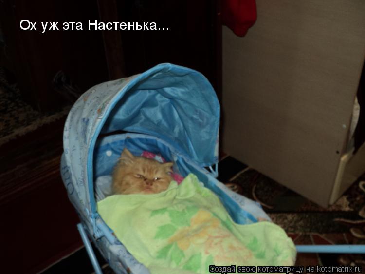 Ох уж эта Настенька...... Котоматрица: Ох уж эта Настенька...
