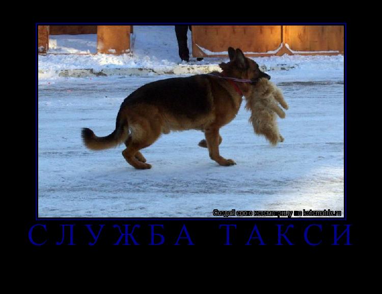 Служба ТАКСИ ... Котоматрица: Служба ТАКСИ