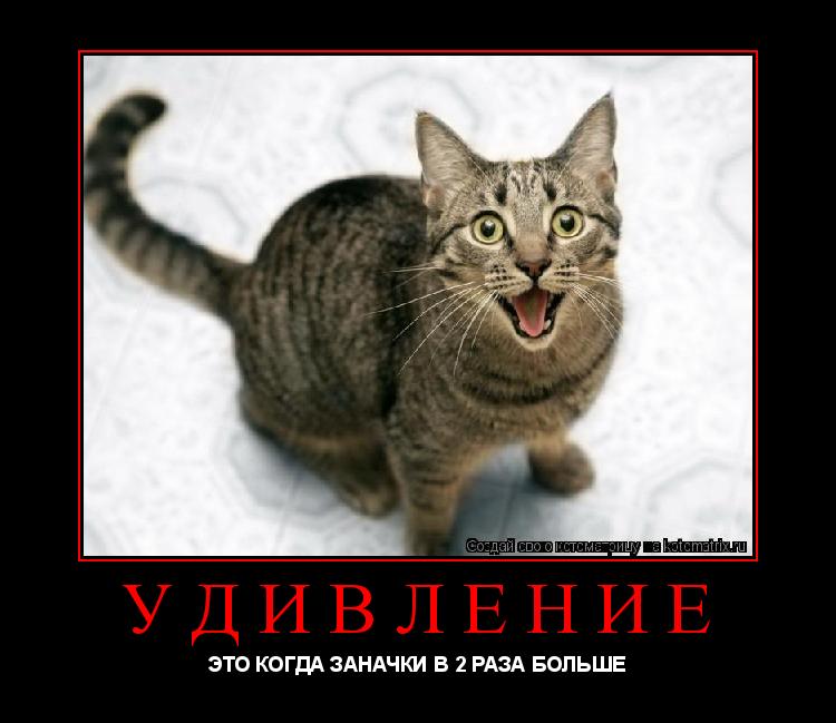 УДИВЛЕНИЕ ЭТО КОГДА ЗАНАЧКИ В 2 РАЗА БОЛЬШЕ... Котоматрица: УДИВЛЕНИЕ ЭТО КОГДА ЗАНАЧКИ В 2 РАЗА БОЛЬШЕ
