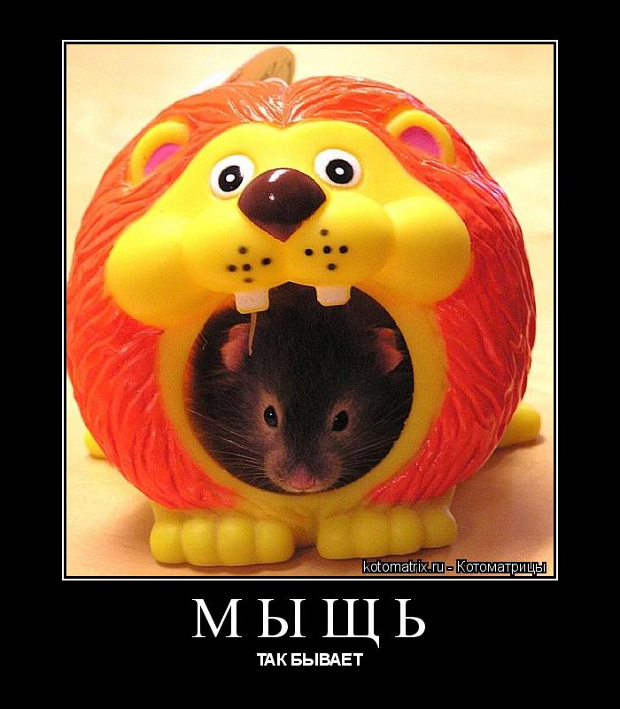 МЫЩЬ ТАК БЫВАЕТ... Котоматрица: МЫЩЬ ТАК БЫВАЕТ