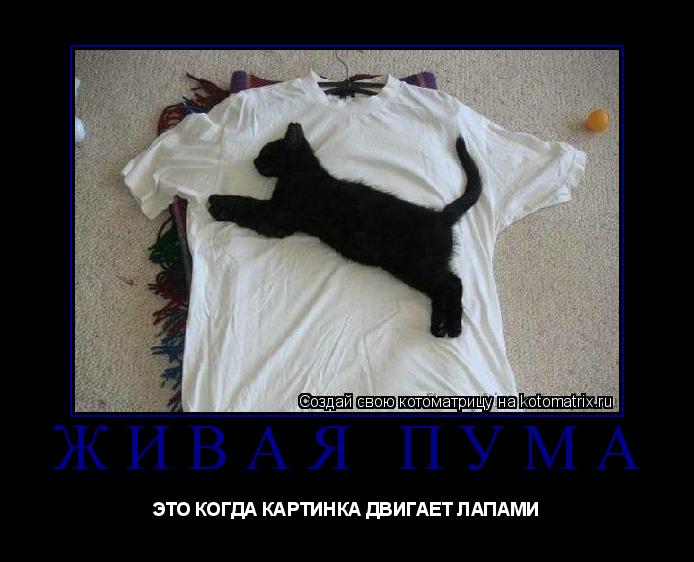 ЖИВАЯ ПУМА ЭТО КОГДА КАРТИНКА ДВИГАЕТ ЛАПАМИ... Котоматрица: ЖИВАЯ ПУМА ЭТО КОГДА КАРТИНКА ДВИГАЕТ ЛАПАМИ