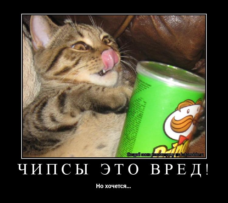 Чипсы это вред! Но хочется...... Котоматрица: Чипсы это вред! Но хочется...