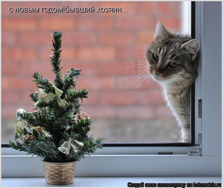 с новым годом!бывший хозяин...... Котоматрица: с новым годом!бывший хозяин...