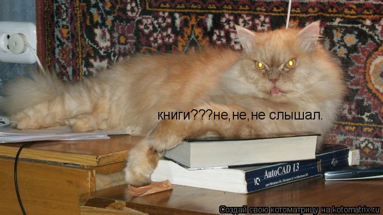 книги???не,не,не слышал.... Котоматрица: книги???не,не,не слышал.