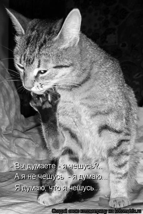 - Вы думаете - я чешусь?.. А я не чешусь - я думаю... Я думаю, что я чешусь...... Котоматрица: - Вы думаете - я чешусь?.. А я не чешусь - я думаю... Я думаю, что я чешусь...