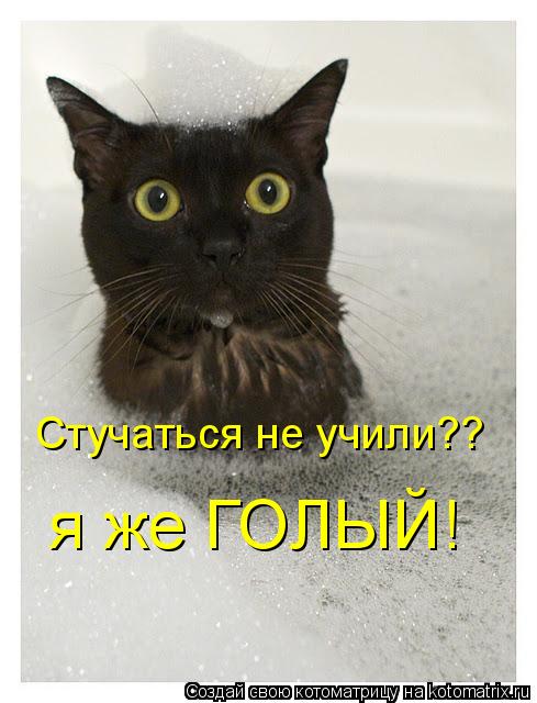 Стучаться не учили?? я же ГОЛЫЙ!... Котоматрица: Стучаться не учили?? я же ГОЛЫЙ!