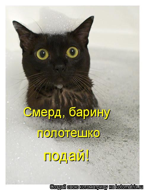 Смерд, барину полотешко подай!... Котоматрица: Смерд, барину полотешко подай!