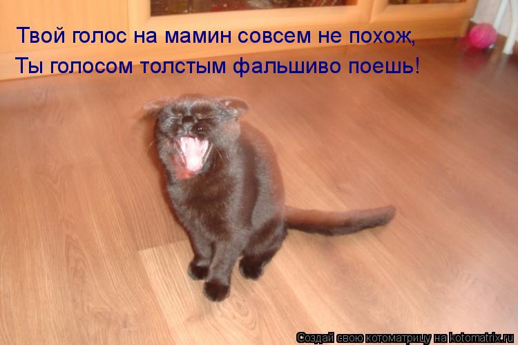 Твой голос на мамин совсем не похож, Ты голосом толстым фальшиво поешь!... Котоматрица: Твой голос на мамин совсем не похож, Ты голосом толстым фальшиво поешь!