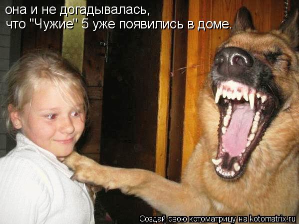 она и не догадывалась, что "Чужие" 5 уже появились в доме.... Котоматрица: она и не догадывалась, что "Чужие" 5 уже появились в доме.