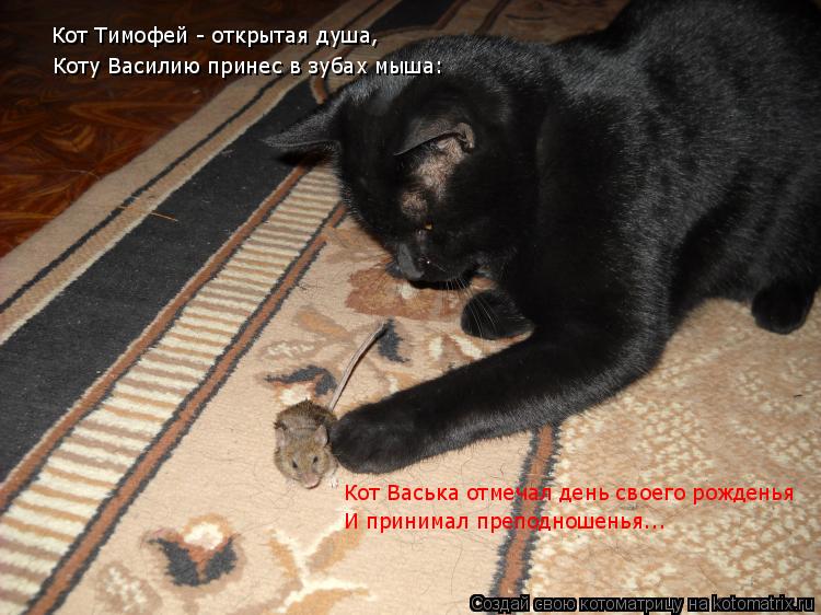 Кот Тимофей - открытая душа, Коту Василию принес в зубах мыша: Кот Васька отмечал день своего рождень... Котоматрица: Кот Тимофей - открытая душа, Коту Василию принес в зубах мыша: Кот Васька отмечал день своего рожденья И принимал преподношенья...