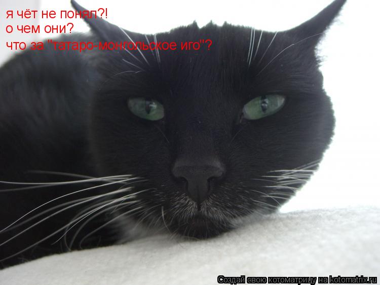 я чёт не понял?! о чем они? что за "татаро-монгольское иго"?... Котоматрица: я чёт не понял?! о чем они? что за "татаро-монгольское иго"?