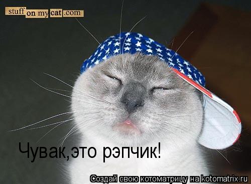 Чувак,это рэпчик!... Котоматрица: Чувак,это рэпчик!