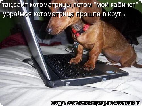 так,сайт котоматрицы,потом "мой кабинет" урра!моя котоматрица прошла в круть!... Котоматрица: так,сайт котоматрицы,потом "мой кабинет" урра!моя котоматрица прошла в круть!