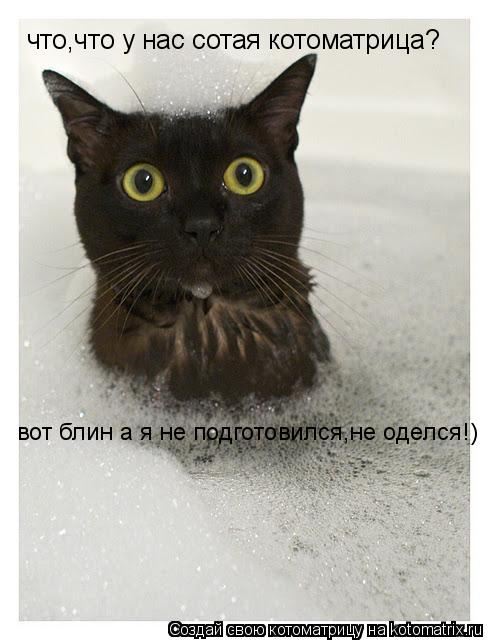 что,что у нас сотая котоматрица? вот блин а я не подготовился,не оделся!)... Котоматрица: что,что у нас сотая котоматрица? вот блин а я не подготовился,не оделся!)