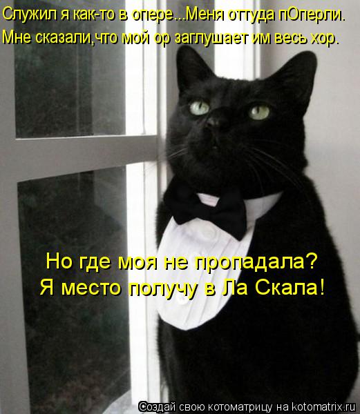 Котоматрица: Служил я как-то в опере...Меня оттуда пОперли. Мне сказали,что мой ор заглушает им весь хор. Но где моя не пропадала? Я место получу в Ла Скала!