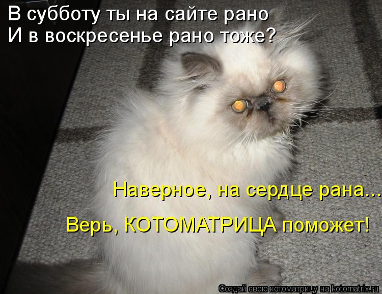 В субботу ты на сайте рано И в воскресенье рано тоже? Наверное, на сердце рана... Верь, КОТОМАТРИЦА п... Котоматрица: В субботу ты на сайте рано И в воскресенье рано тоже? Наверное, на сердце рана... Верь, КОТОМАТРИЦА поможет!