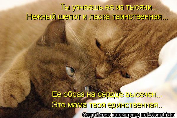Ее образ на сердце высечен... Это мама твоя единственная... Ты узнаешь ее из тысячи... Нежный шепот и... Котоматрица: Ее образ на сердце высечен... Это мама твоя единственная... Ты узнаешь ее из тысячи... Нежный шепот и ласка таинственная...