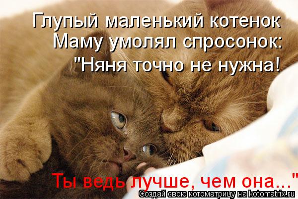 Глупый маленький котенок "Няня точно не нужна! Ты ведь лучше, чем она..." Маму умолял спросонок:... Котоматрица: Глупый маленький котенок "Няня точно не нужна! Ты ведь лучше, чем она..." Маму умолял спросонок: