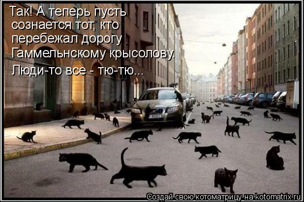 Так! А теперь пусть сознается тот, кто перебежал дорогу Гаммельнскому крысолову. Люди-то все - тю-т... Котоматрица: Так! А теперь пусть сознается тот, кто перебежал дорогу Гаммельнскому крысолову. Люди-то все - тю-тю...
