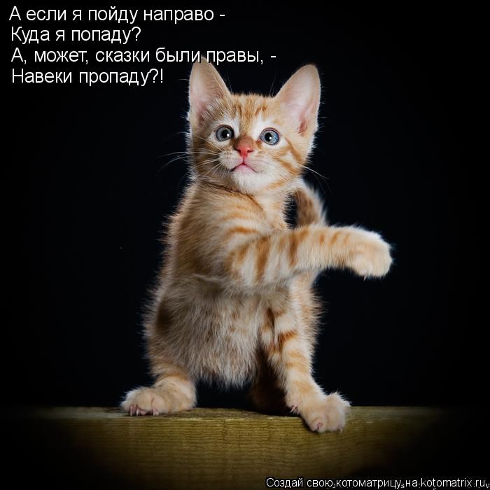 А если я пойду направо - Куда я попаду? А, может, сказки были правы, - Навеки пропаду?!... Котоматрица: А если я пойду направо - Куда я попаду? А, может, сказки были правы, - Навеки пропаду?!