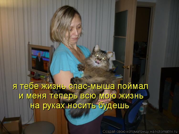 я тебе жизнь спас-мыша поймал и меня теперь всю мою жизнь на руках носить будешь... Котоматрица: я тебе жизнь спас-мыша поймал и меня теперь всю мою жизнь на руках носить будешь