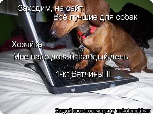 Заходим, на сайт. Всё лучшие для собак. Хозяйка, Мне надо довать,каждый день 1-кг Вятчины!!!... Котоматрица: Заходим, на сайт. Всё лучшие для собак. Хозяйка, Мне надо довать,каждый день 1-кг Вятчины!!!