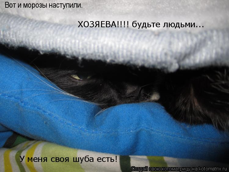 Вот и морозы наступили. ХОЗЯЕВА!!!! будьте людьми... У меня своя шуба есть!... Котоматрица: Вот и морозы наступили. ХОЗЯЕВА!!!! будьте людьми... У меня своя шуба есть!